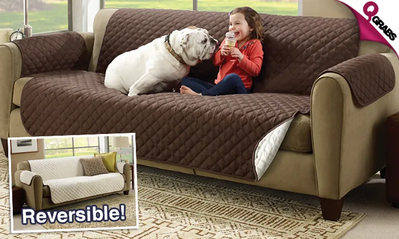 Reversible Couch Cover!